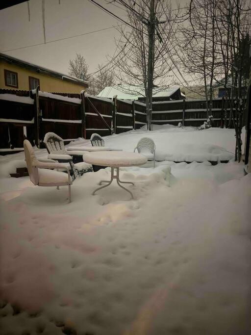The Air Capitol Cottage Leadville Exterior photo